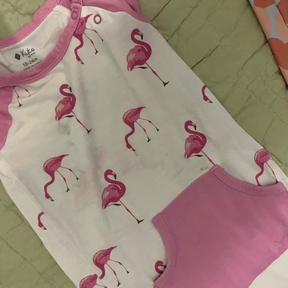 Lot of Toddler Girls Clothing - Picture 5 of 16